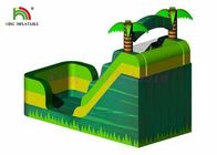 Взрослые зеленого товарного сорта парка атракционов раздувные сушат логотип таможни скольжения